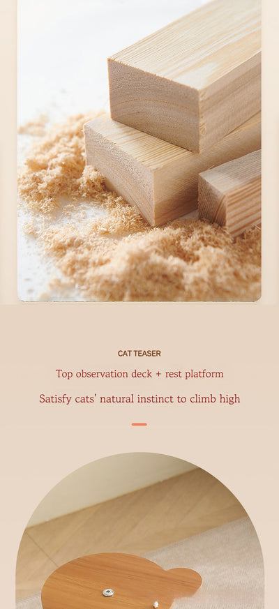 Multi-layer cat tree with a plush top bed, clear space capsule, wooden cat house, sisal scratching posts, and climbing stairs. - Image 7