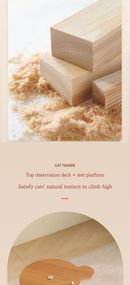 Multi-layer cat tree with a plush top bed, clear space capsule, wooden cat house, sisal scratching posts, and climbing stairs. - Image 7
