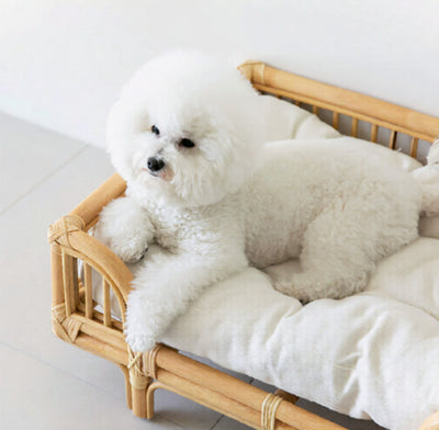 Cama para Perro de Ratán Natural Tejida a Mano - Diseño Minimalista - Image 9