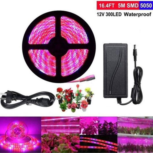 Tira LED de Espectro Completo 5M para Plantas Hidropónicas - Resistente al Agua - Image 7