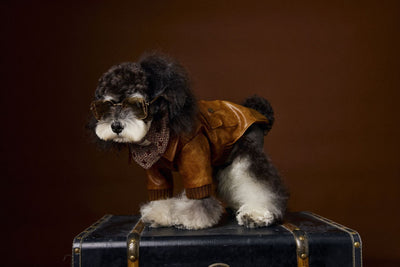 Abrigo de Cuero Retro Estampado Schnauzer Bichon - Manga Larga Unisex - Image 12