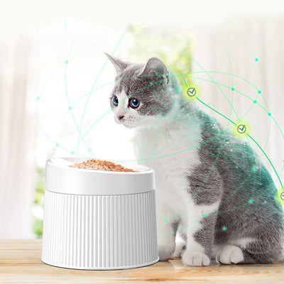 Comedero Doble Geométrico para Gatos - Image 9