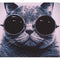Cat10