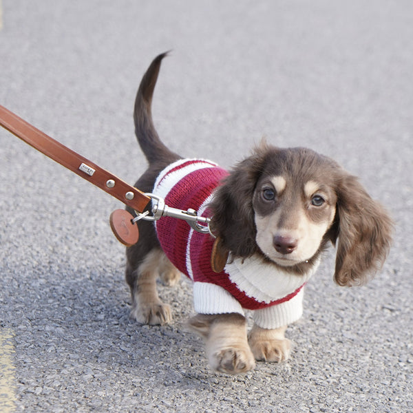 Suéter Abrigado para Perros Pequeños y Gatos - Tejido Grueso y Cálido