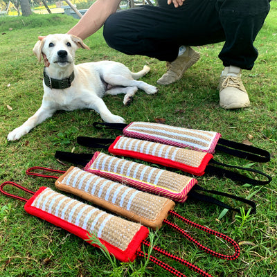 Palo de Cáñamo 30cm para Morder - Juguete Resistente para Entrenamiento Canino - Image 14