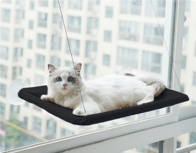 Hamaca Colgante para Gatos con Ventosa - Reposa Felino - Image 11
