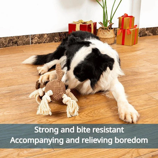 Juguete Interactivo para Perros con Sonidos y Cuerda de Algodón Resistente - Image 4