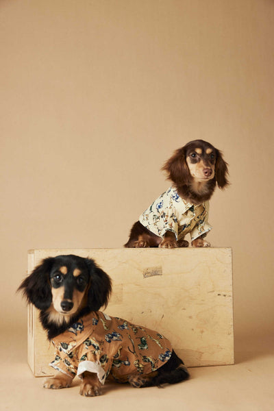 Playera Estampada con Razas de Perros - Dachshund, Schnauzer, Bichón y Maltés - Image 30