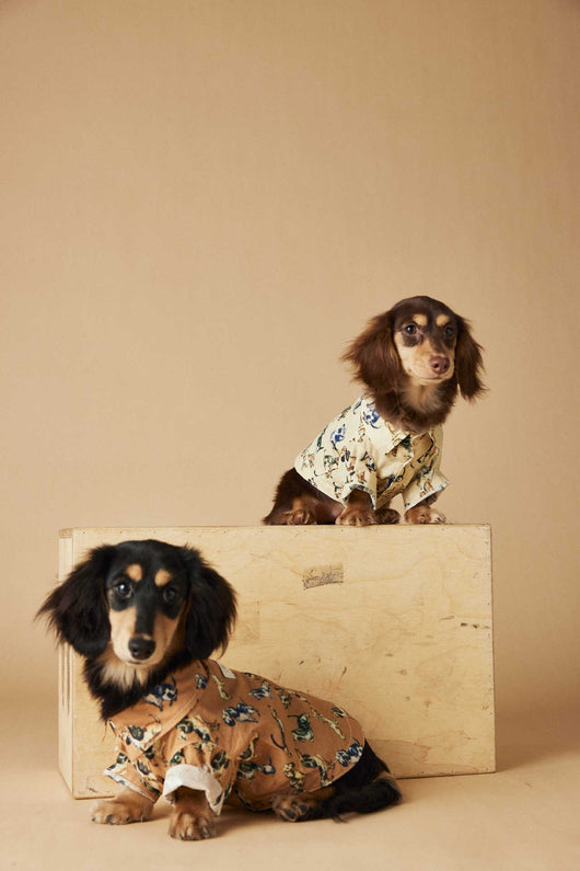 Playera Estampada con Razas de Perros - Dachshund, Schnauzer, Bichón y Maltés - Image 30
