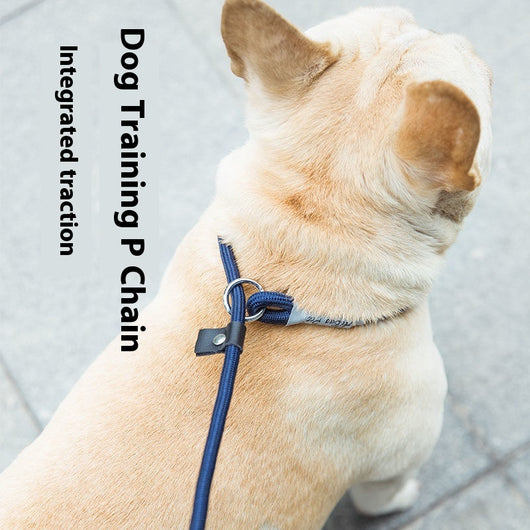 Cuerda de Entrenamiento para Pasear Perros con Agarre Manual - Image 18