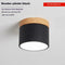 Black Tricolor Light