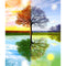 Cuadro Diamante 5D Árbol de las Cuatro Estaciones - Pintura Diamante DIY