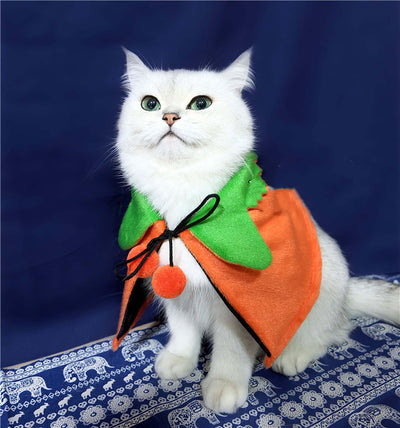 Capa Reversible de Calabaza para Perros - Disfraz Halloween Doble Cara - Image 11