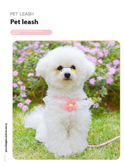 Chaleco de Paseo con Correa para Perros Pequeños - Image 19