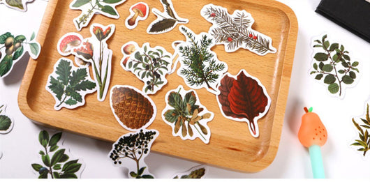 Pegatinas Organizadoras Setas del Bosque para Caja de Cuentas - Image 10