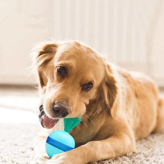 Light blue pet food dispensing ball toy with a translucent blue band and a green cactus-shaped top.