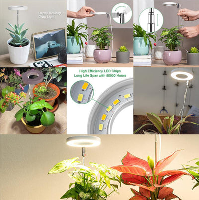 Luz LED de Crecimiento para Plantas Suculentas y Bonsái con Temporizador y Atenuador - Image 4