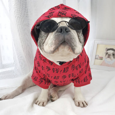 Gafas de Juego para Perros Medianos y Grandes