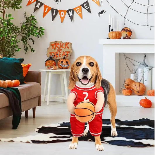 Disfraz de Jugador de Baloncesto para Perros - Outfit Deportivo Divertido - Image 4