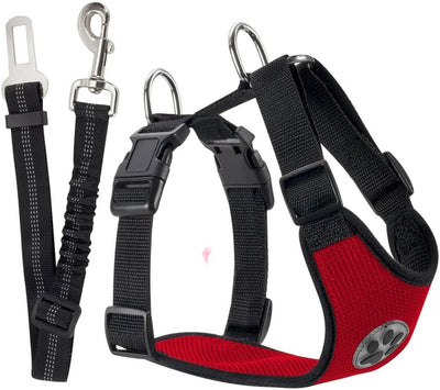 Cuerda Reflectante y Transpirable para Perros - Image 9
