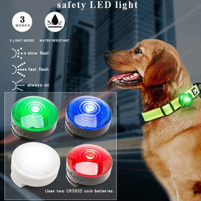 Collar LED Luminoso para Perros - Seguridad Nocturna - Image 7