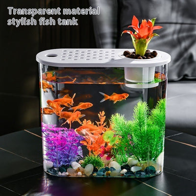 Pecera Ecológica de Acrílico Transparente para Peces de Agua Fría - Image 8