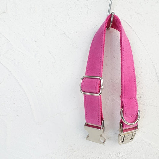 Correa y Collar para Perro Ajustable - Image 11