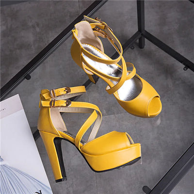 Sandalias Romanas de Tacón Grueso con Hebilla Elegante para Mujer - Image 13