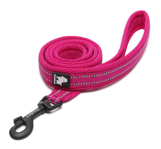Correa de Seguridad para Perros con Sistema Anti-Pérdida - Image 16