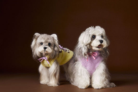 Chaleco Sudadera con Capucha y Estampado de Perrito - Image 14