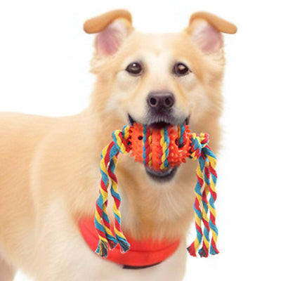 Pelota de Cuerda para Limpiar Molares - Juguete Mordedor para Perros - Image 4
