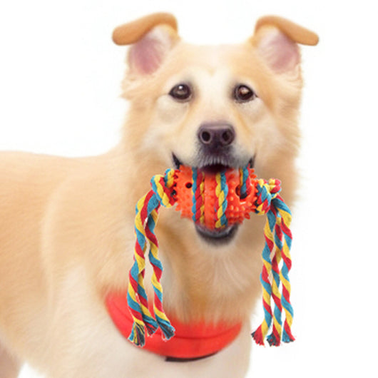 Pelota de Cuerda para Limpiar Molares - Juguete Mordedor para Perros - Image 4