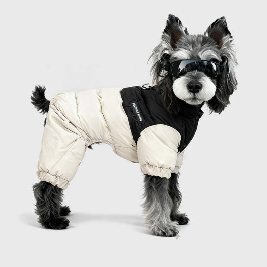 Calcetines Térmicos de Algodón para Mascotas - Otoño e Invierno - Image 11