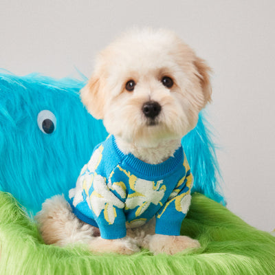Suéter Cálido para Perros y Gatos - Abrigo de Invierno Teddy Bear Bomekoki - Image 2