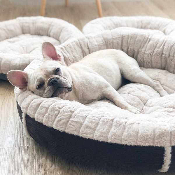 Cama Redonda Térmica para Perros y Gatos - Diseño Otoño Invierno