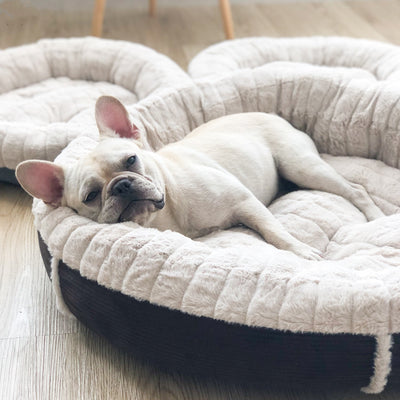 Cama Redonda Térmica para Perros y Gatos - Diseño Otoño Invierno