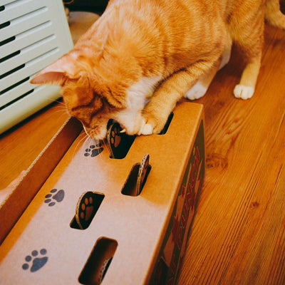 Juguete Interactivo para Gatos con Máquina de Hámster y Cartón Corrugado - Image 10