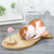 Protectores de Muebles y Arañadores para Gatos