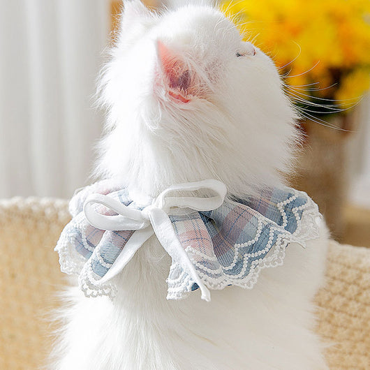 Pañuelo Decorativo Absorbente para Gatos - Image 4
