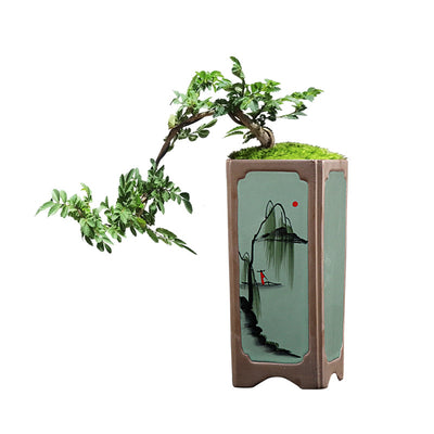 Maceta Cerámica Cuadrada Púrpura para Orquídeas y Plantas de Interior - Image 5