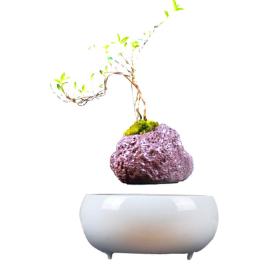 Plantas Flotantes con Levitación Magnética - Image 7