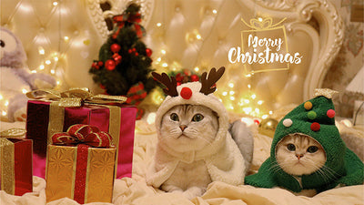 Capa y Gorro Navideño con Astas para Mascotas - Abrigo Cálido Otoño e Invierno - Image 15