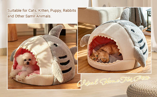 Casa Refugio Acogedora para Gatos con Diseño de Tiburón - Image 14