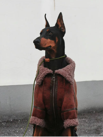 Abrigo de Cuero con Terciopelo Winter Plus para Perros Grandes - Image 3
