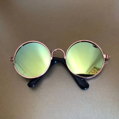Gafas de Sol para Gatos - Lentes Protectoras Divertidas - Image 18