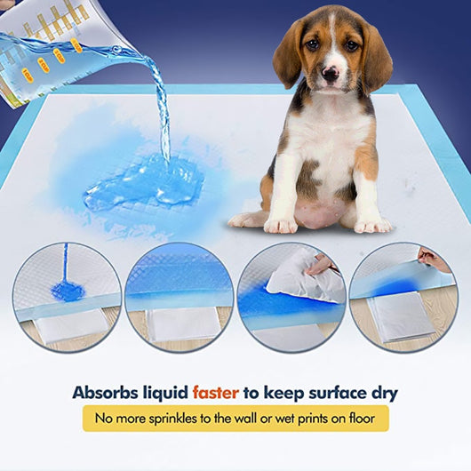 Pañales Absorbentes para Perros - Protección Total - Image 4