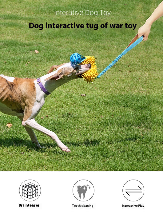 Juguete Interactivo de Cuerda Resistente para Perros - Tirador Masticable - Image 9