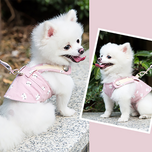 Conjunto de Arnés y Correa Adorable para Perro - Image 15