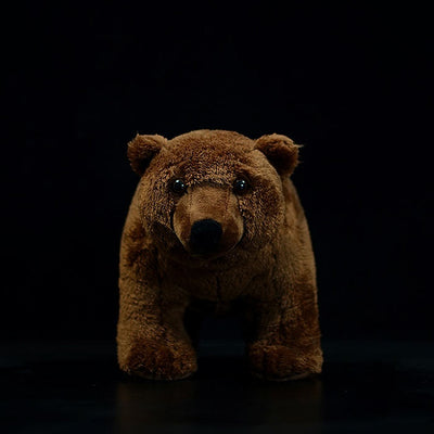 Peluche Oso Pardo Realista - Image 9