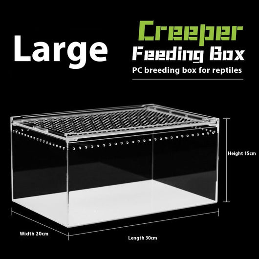 Caja de Alimentación para Reptiles con Alta Permeabilidad Acrílica - Image 8